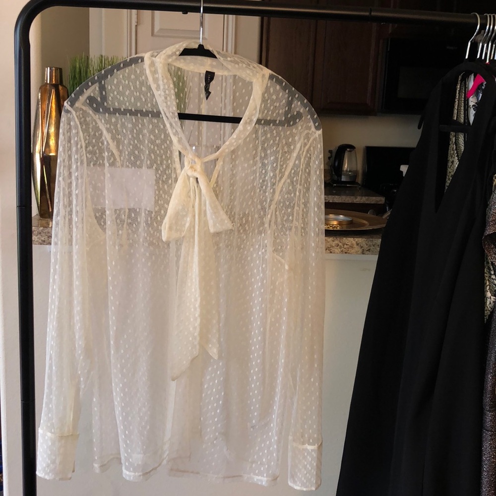 Sheer Lane Bryant Blouse